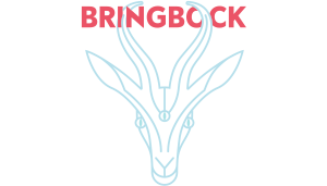 bringbock logo