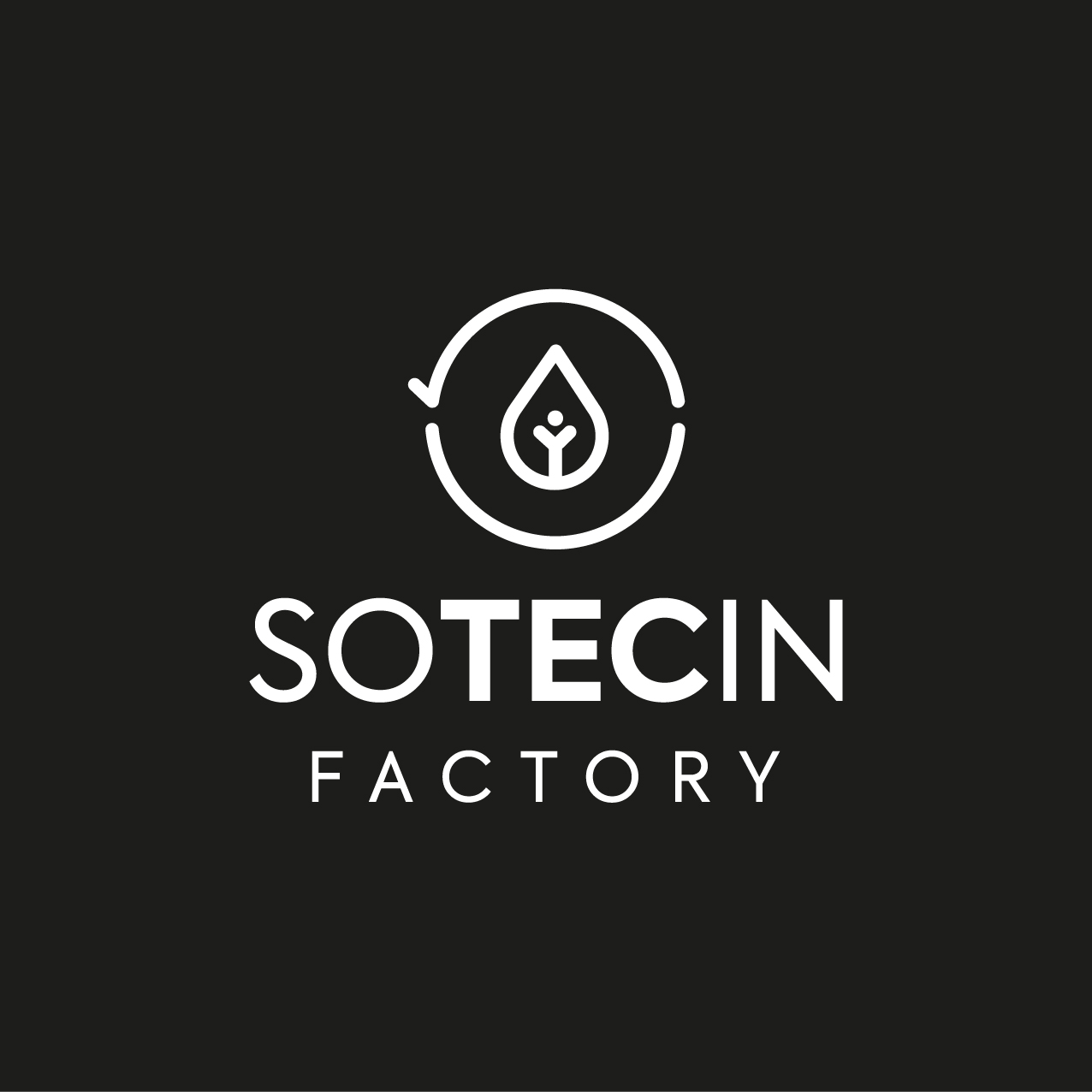 SOTECIN FACTORY Logo