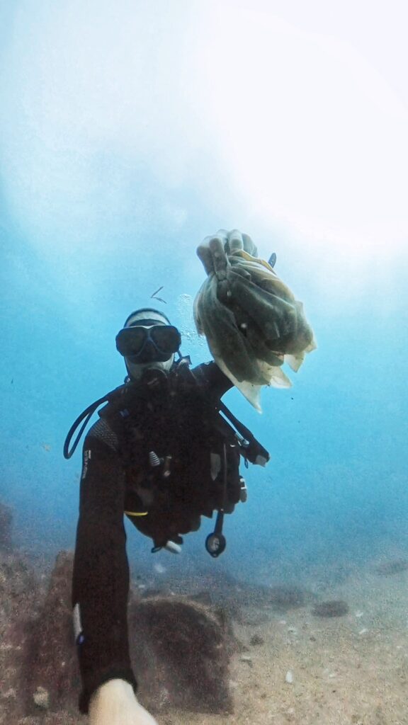 Taucher hält eine Ansammlung von weißen Feuchttüchern unter Wasser, die als Plastikmüll im Meer schwimmen.