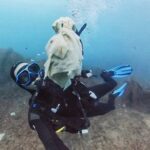 Taucher schwimmt mit einer großen Menge Feuchttücher über einer felsigen Unterwasserlandschaft, symbolisiert Meeresverschmutzung.