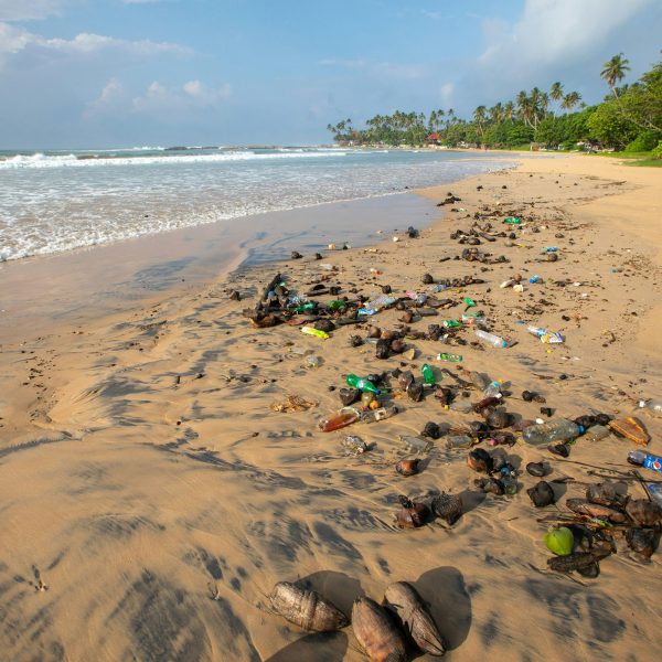 Verschmutzter Sandstrand mit Plastikflaschen und Müll.